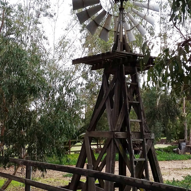 The namesake windmill near Windmill Ranch Rd in Olivenhain
