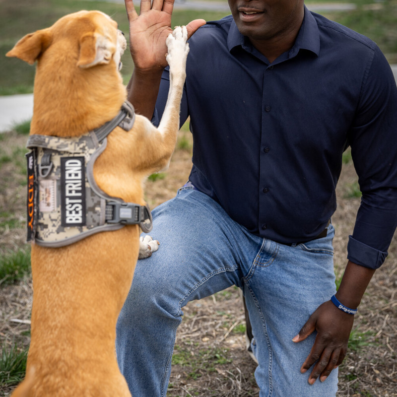 He is Pawsitive about his vote