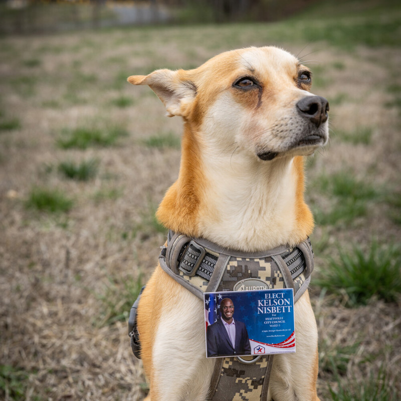 If our dog could only vote. Please support his commitment.