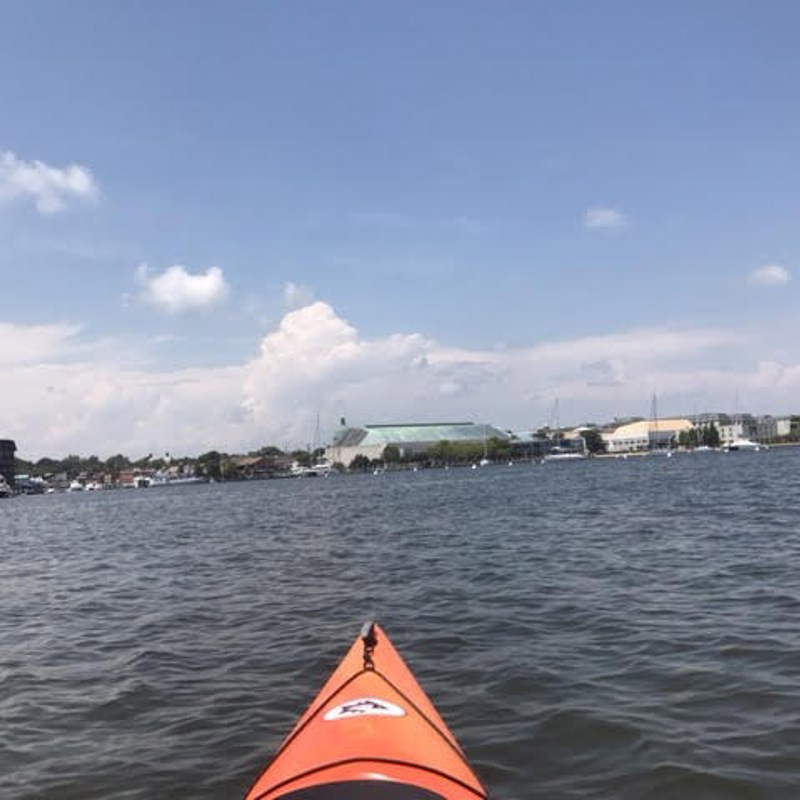 I love hitting the Bay for a good paddle! There's just something about being that close to the Bay. Being just inches from the water for hours, and sometimes miles out, you get a real sense of just how vital this national treasure really is!