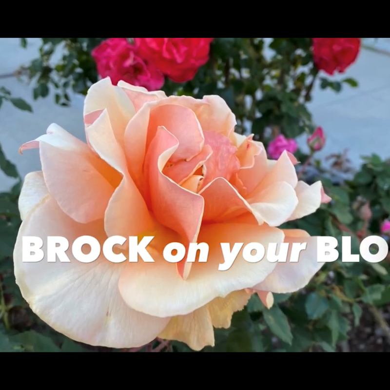 My local video show, Brock on Your Block, is dedicated to our community. I often talk about the fabric and thread of Santa Monica. It’s the people who tie this town that I love, together. Brock on Your Block has recorded over 150 stories in 6 years on the air.