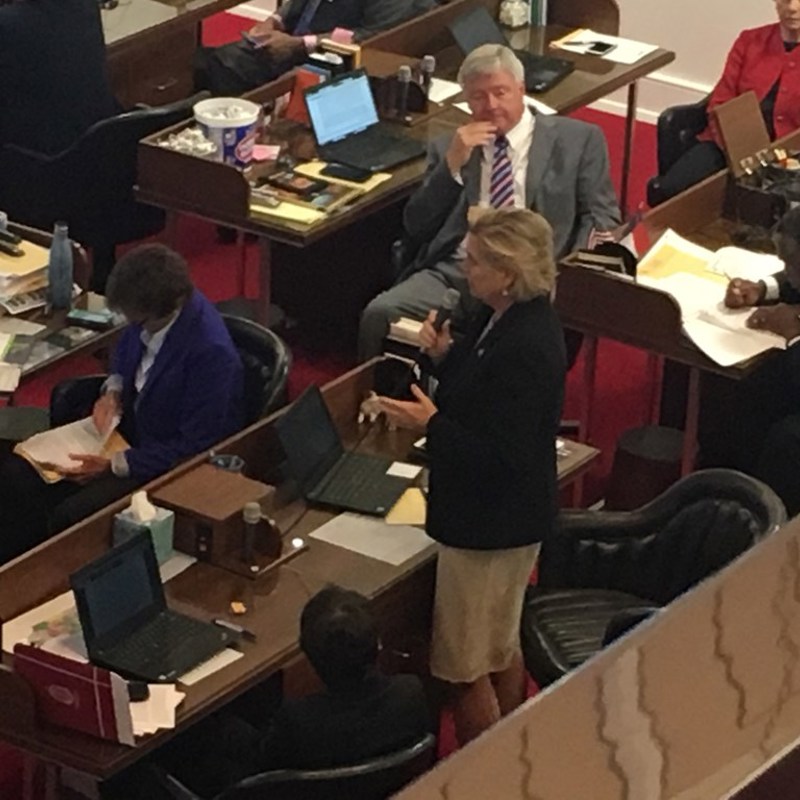 Rep. Deb speaks on the House floor in support of a fully funded DEQ 