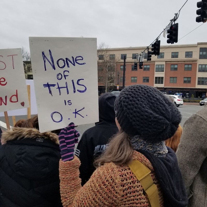 Hands Off our Democracy rally at Riley Plaza