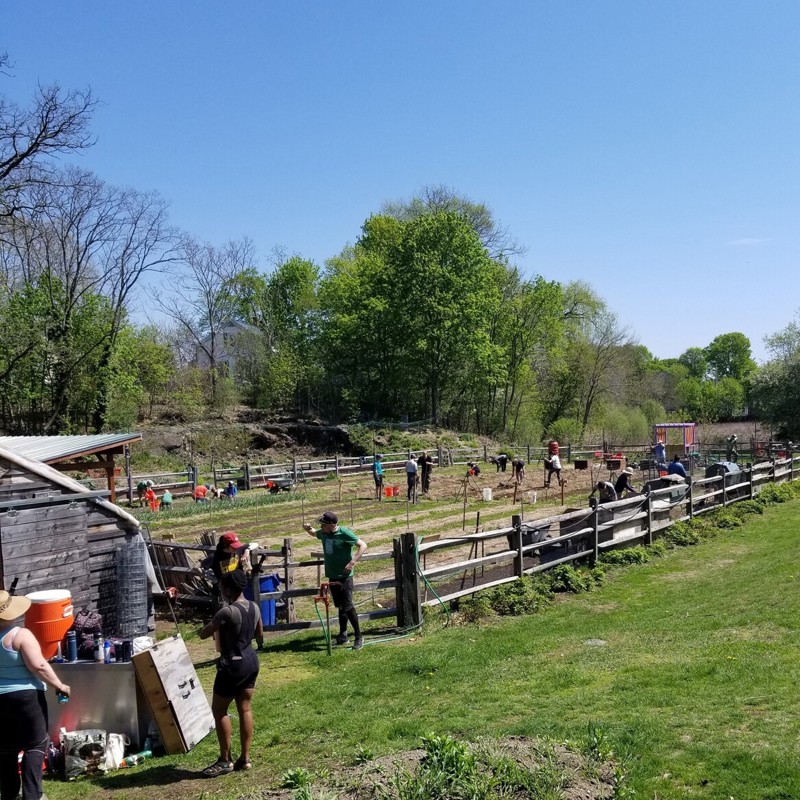 Mack Park Food Farm getting up and running for the season