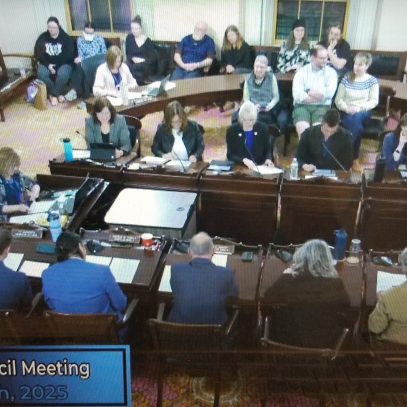 The City Council unanimously passes the Resolution I submitted protecting our Transgender and Nonbinary community