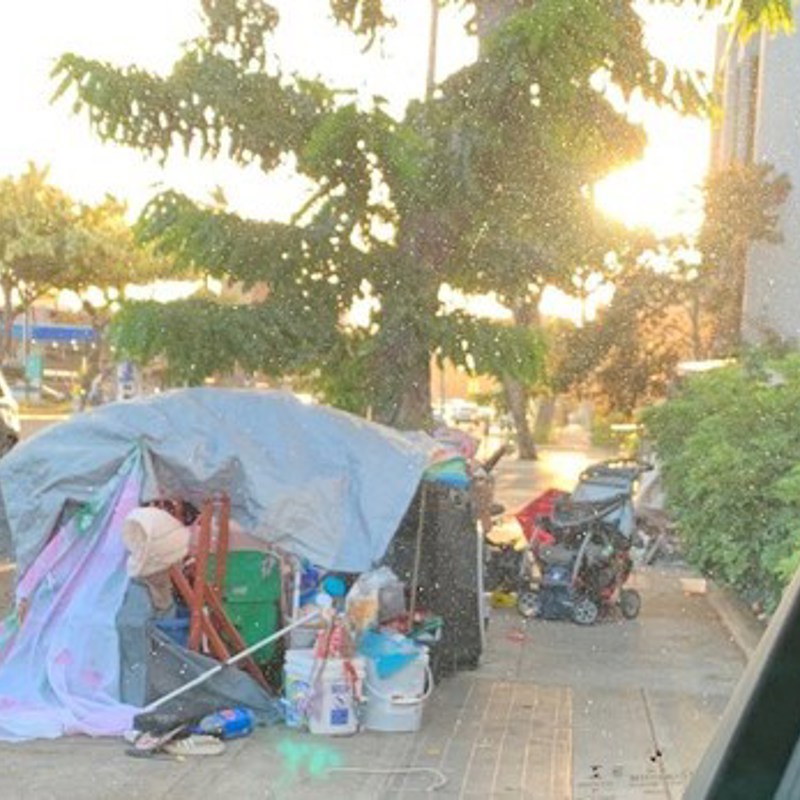 McCully businesses complained about a stubborn homeless encampment that was the source of foul odors, trash, and unleashed dogs.