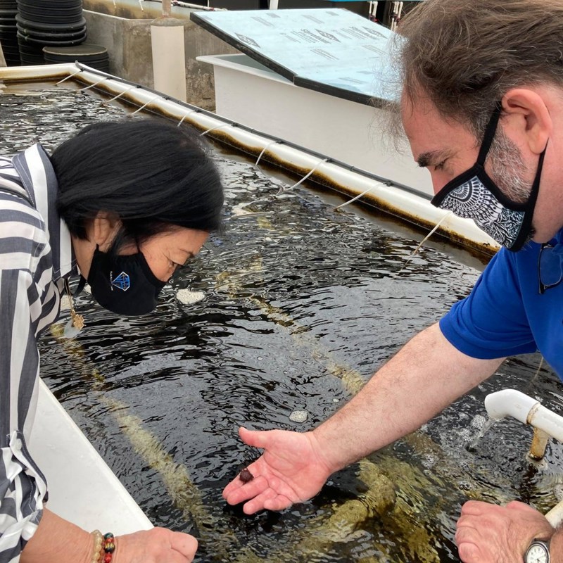 At the sea urchin hatchery.  Supported $1 million for repairs to the sea urchin hatchery used to raise urchins to control invasive algae including the reef area near the Natatorium.