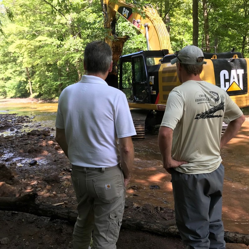Observing the Lamington River Restoration Project - August 2019